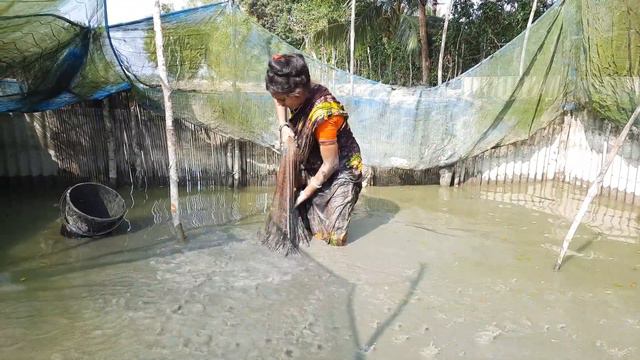 Cast Net Fishing||Catching Fish With A Cast Net By Village Pond||@Srabontifishingbd5791(part-91) смотреть онлайн