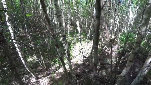 Жесть!!!Нашли в Лесу Громадную Кучу Металла!!!Пришлось Грузить Даже На Крышу Патрика!!!Жара 30!!! смотреть онлайн