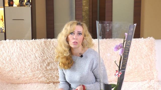 ВРЕДИТЕЛИ НА ОРХИДЕЯХ!? Мои способы обработки и препараты, которыми я пользуюсь. смотреть онлайн