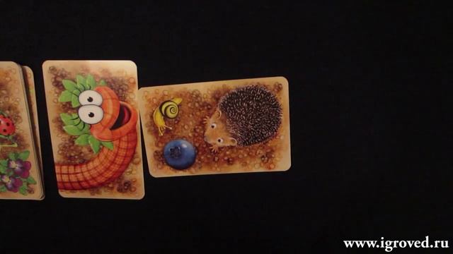 Червячки: фруктовая гонка. Обзор настольной игры от Игроведа..mp4 смотреть онлайн