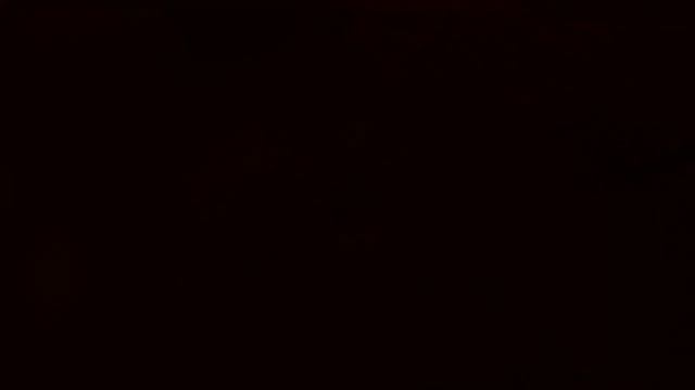 Домашние Животные и Их Уход