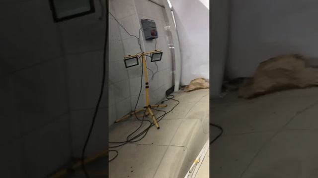 Полировка кузова Haval f7 смотреть онлайн