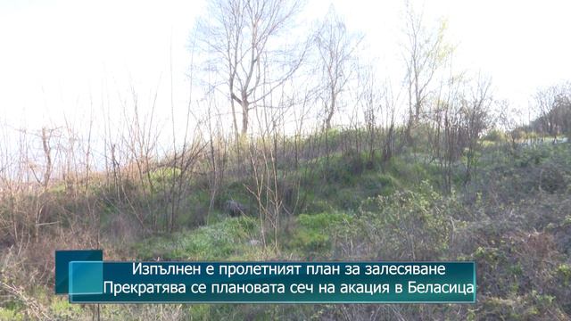 Изпълнен е пролетният план за залесяване. Прекратява се плановата сеч на акация в планина Беласица смотреть онлайн