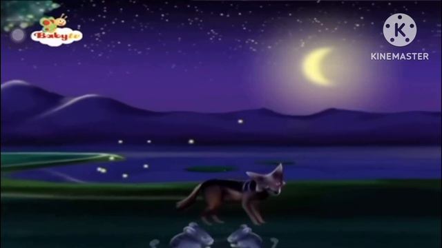 The World Is A Wonder: Day & Night Animals