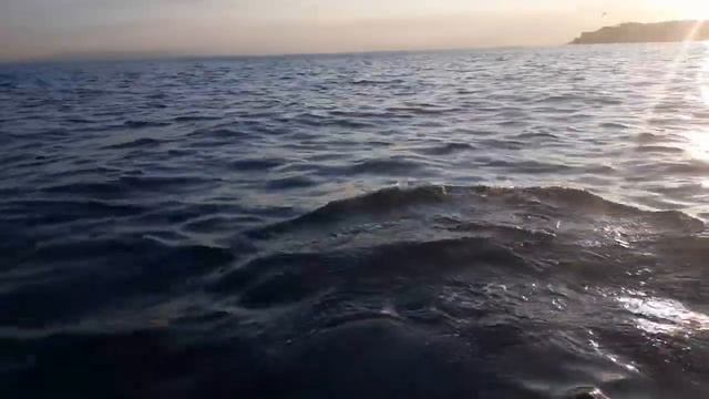 Дельфины! Рыбалка морская, дельфины прям рядом с лодкой! шок! Дельфины на рыбалке. смотреть онлайн