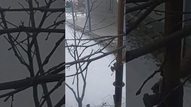 Установка Столба через забор смотреть онлайн