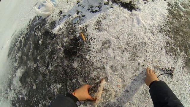 Рыбалка на Щуку, на жерлицы на водоеме Барабой. 20.01.2021 смотреть онлайн