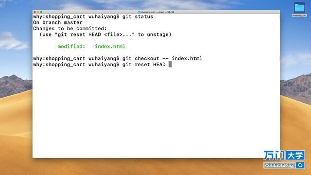 2 撤销追踪操作与文件还原 Git GitHub GitLab使用教程 смотреть онлайн