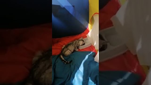 Лемурзин_3 смотреть онлайн