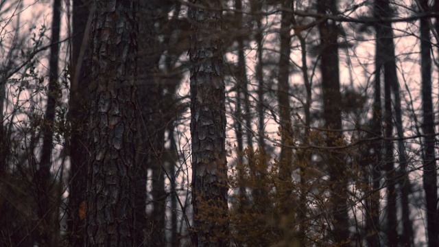 CLEANEST PANASONIC GH5 FOOTAGE... смотреть онлайн