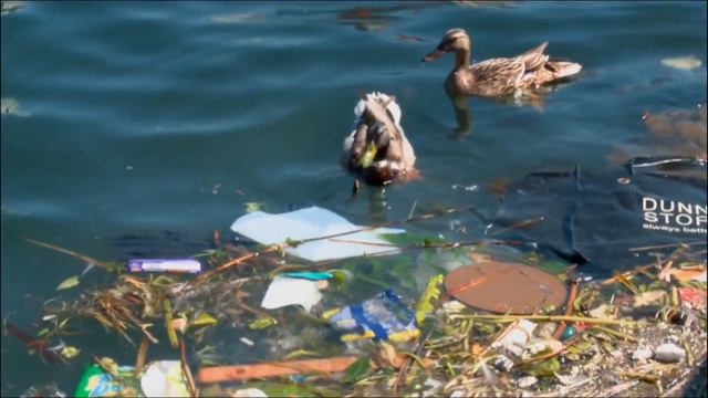 What Can We Do About Plastic? | Bag It | Earth Stories смотреть онлайн
