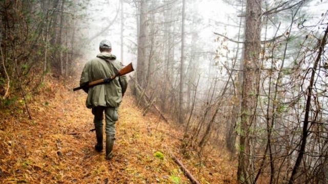 DOGMAN, HUNTER HAS HIS RIFLE KNOCKED OUT IF HIS HANDS IN A TERRIFYING ENCOUNTER смотреть онлайн