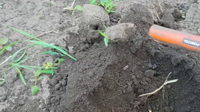 ?Коп, на день скарбошукачів? ? смотреть онлайн