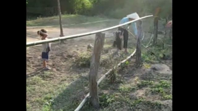 Acrobatic Gibbon! смотреть онлайн