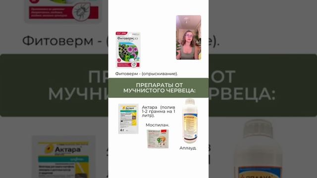 ВРЕДИТЕЛИ КОМНАТНЫХ РАСТЕНИЙ смотреть онлайн