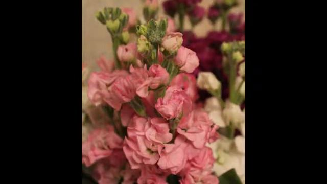 Мне 10лет! День Рождение смотреть онлайн