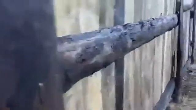 забор дешево своими руками смотреть онлайн