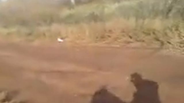 ФЁДОРОВСКИЕ РЕБЯТА смотреть онлайн