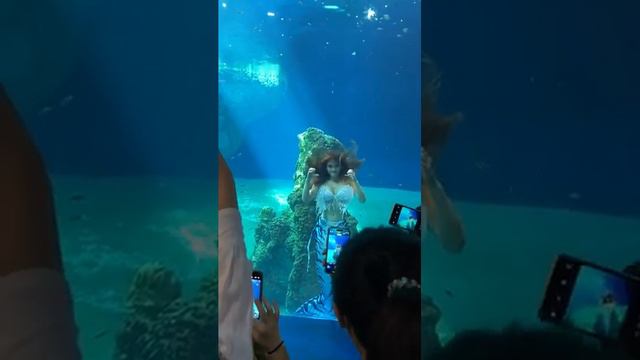 Русалка развлекает посетителей. А вы на сколько минут сможете задержать дыхание под водой? смотреть онлайн