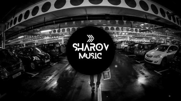 Вектор А - Люди