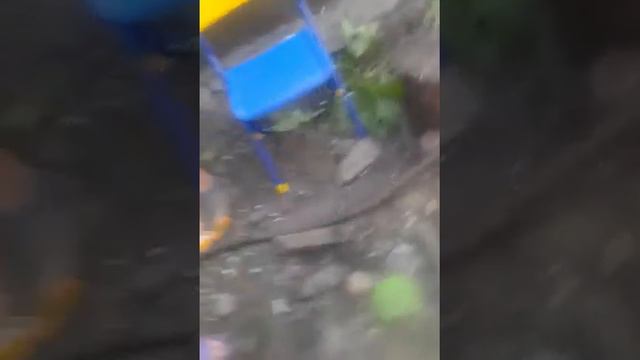 Атаман пьяный смотреть онлайн