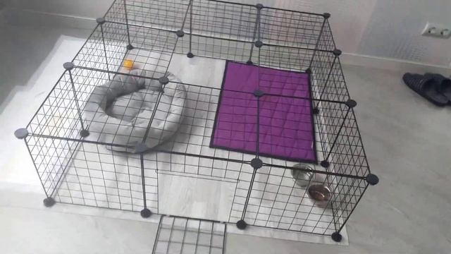 Вольер для маленьких собак в квартире. смотреть онлайн