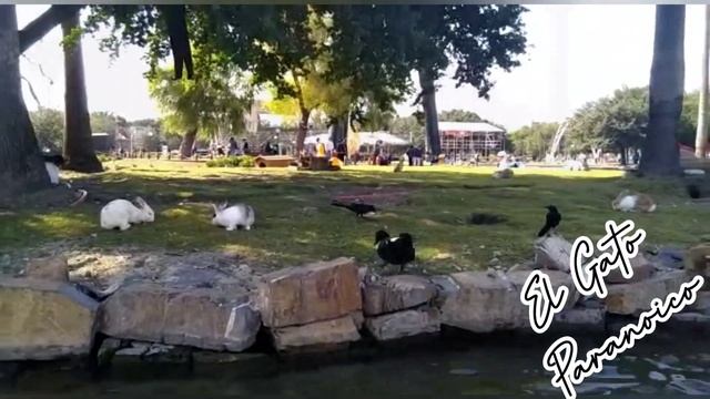 Paseo en el Parque Fundidora смотреть онлайн
