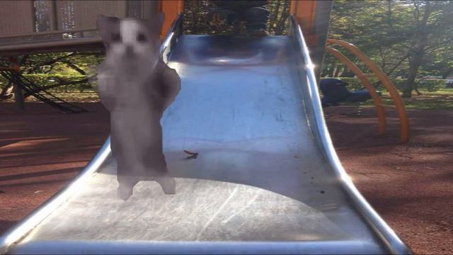 Кот шнапи флексит в разных местах 5: смотреть онлайн