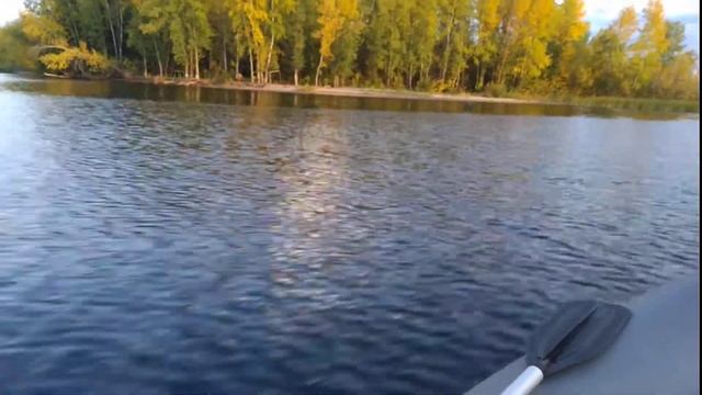 Викинг 340 Гольфстрим 9.8 смотреть онлайн