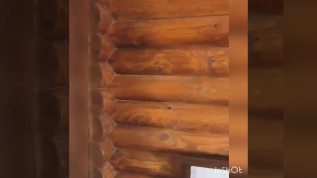 Студия 404 Голубицкая.mp4 смотреть онлайн