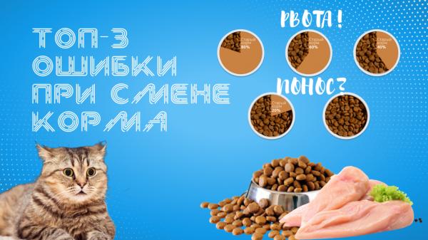 ТОП 3 ошибки при смене корма.