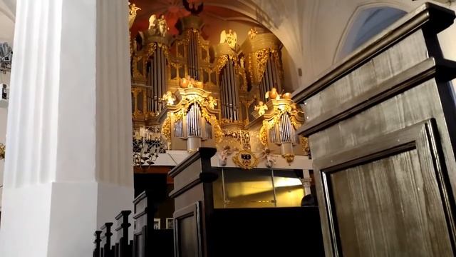 Калининград (часть 4). Музей в Королевских воротах. Могила Канта. Органная музыка. 15.01.2021г. смотреть онлайн