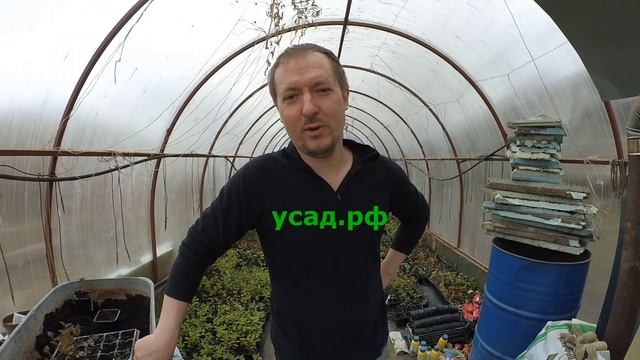 Я пытался. но не смог // живой товар // коза доза смотреть онлайн