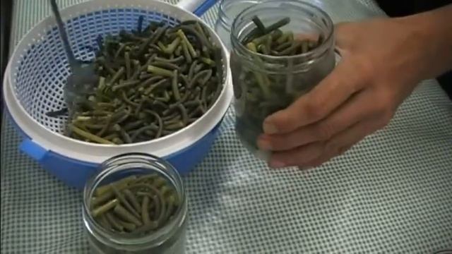 Женская мода и стиль для дачи