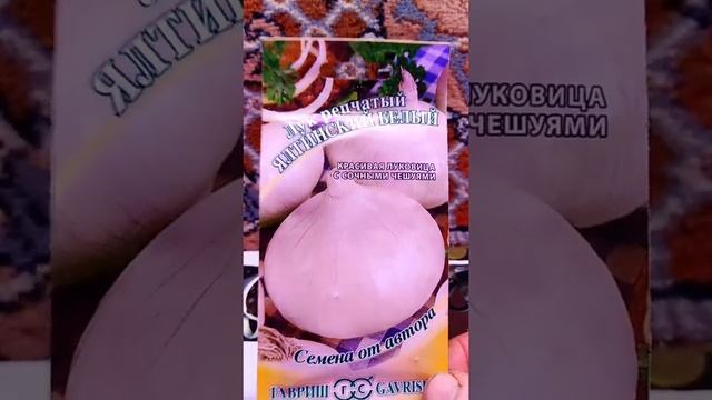 Ялтинскии лук . Обзор семян. Ялтинскии ли это лук? смотреть онлайн