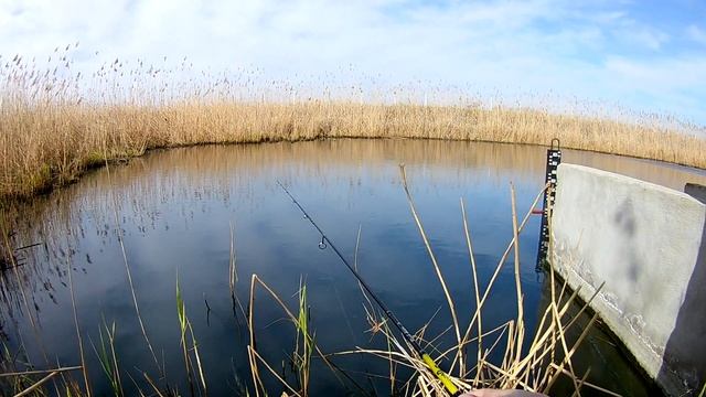 Весенний мормышинг - Какой цвет выберет карась? смотреть онлайн