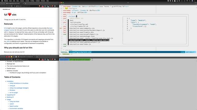 Vim and FZF in 2021 смотреть онлайн
