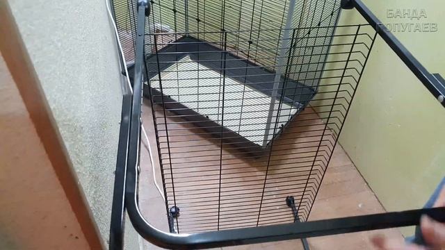 Сборка подставки для вольера Ферпласт Планета для волнистых попугаев смотреть онлайн