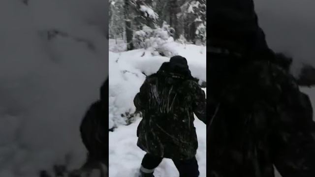 ?Зимняя рыбалка? г.Нягань, ХМАО смотреть онлайн