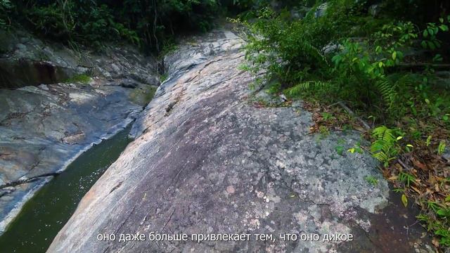ПЕШКОМ ПО ГОРНОЙ РЕКЕ. От низа до верха [4K] | WALKING ALONG THE MOUNTAIN RIVER. From bottom to top смотреть онлайн