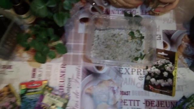 ЧЕРЕНКУЕМ БАЛЬЗАМИН смотреть онлайн