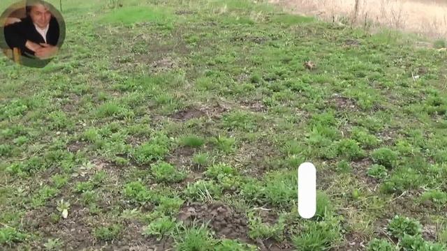 Гарбуз Український багатоплідний -болгарка підготовка площі до посіву смотреть онлайн