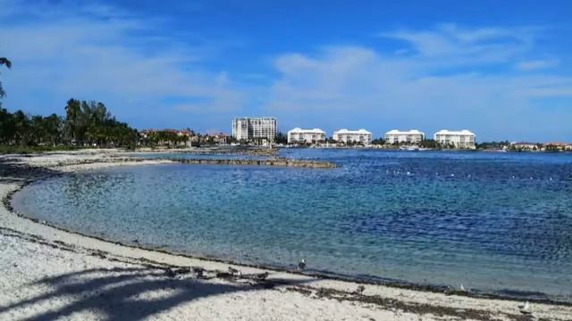 Adventures in Nassau, New Providence Island, the Bahamas Part 1 смотреть онлайн