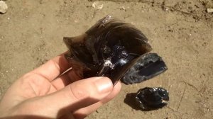 Разные виды обсидиана в необработанном виде