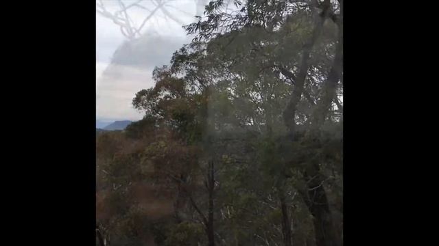 Blue Mountains National Park & Mt Werong смотреть онлайн