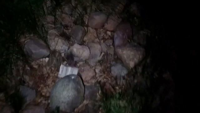 ОТДЫХ НА ПРИРОДЕ И РЫБАЛКА!