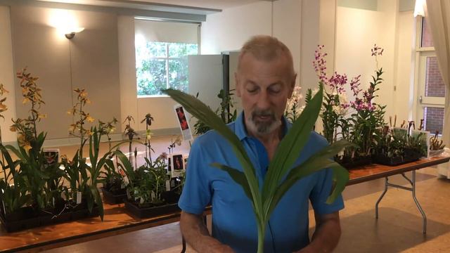 July 2018 Orchid Giveaway With Mark Reinke of Marble Branch Farms смотреть онлайн