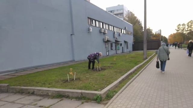 Нинин Сад Васильевский остров Санкт-Петербург