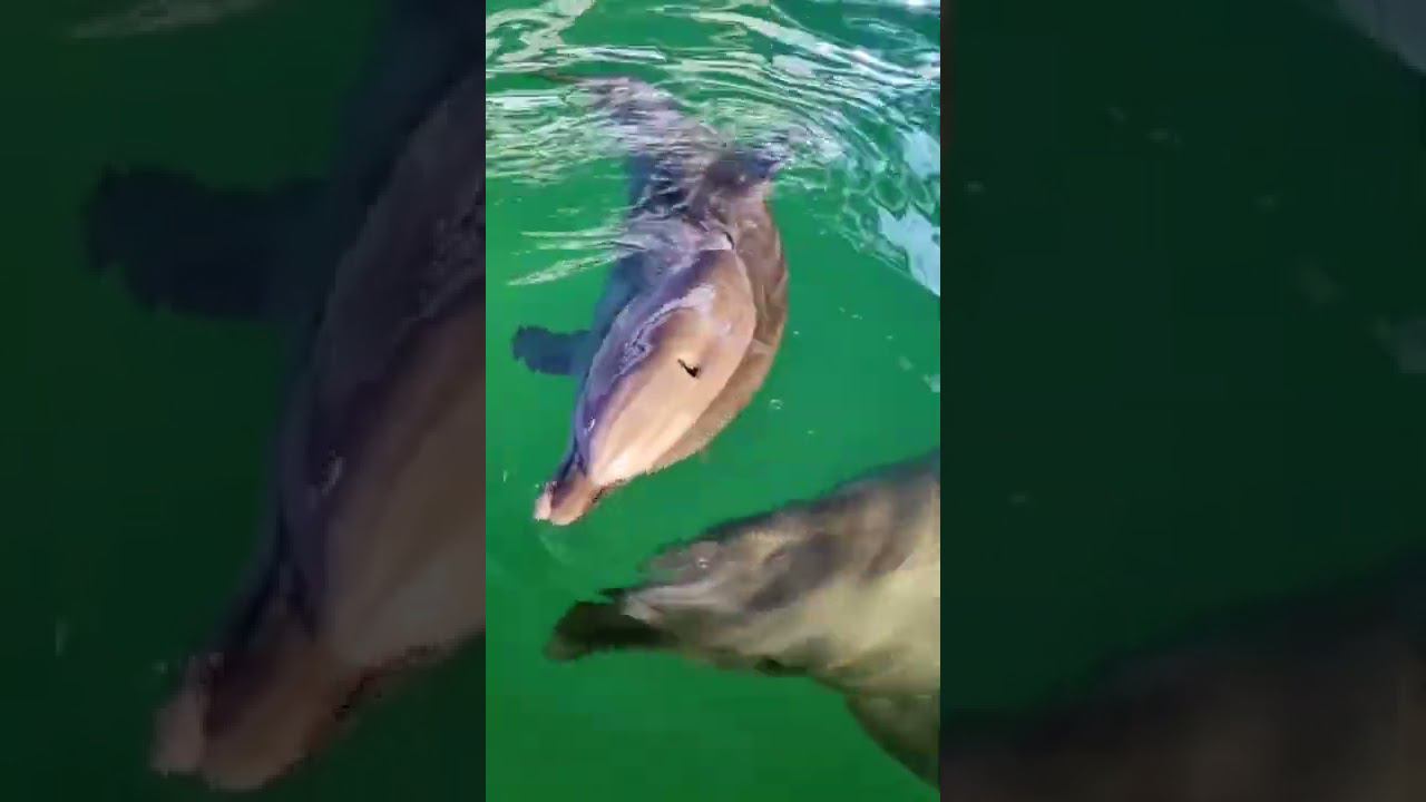 Медитация - исследование как вы получаете удовольствие?