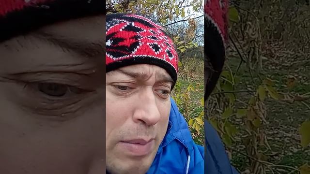 поет Федір Тарасенко смотреть онлайн